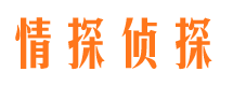 渠县市调查公司